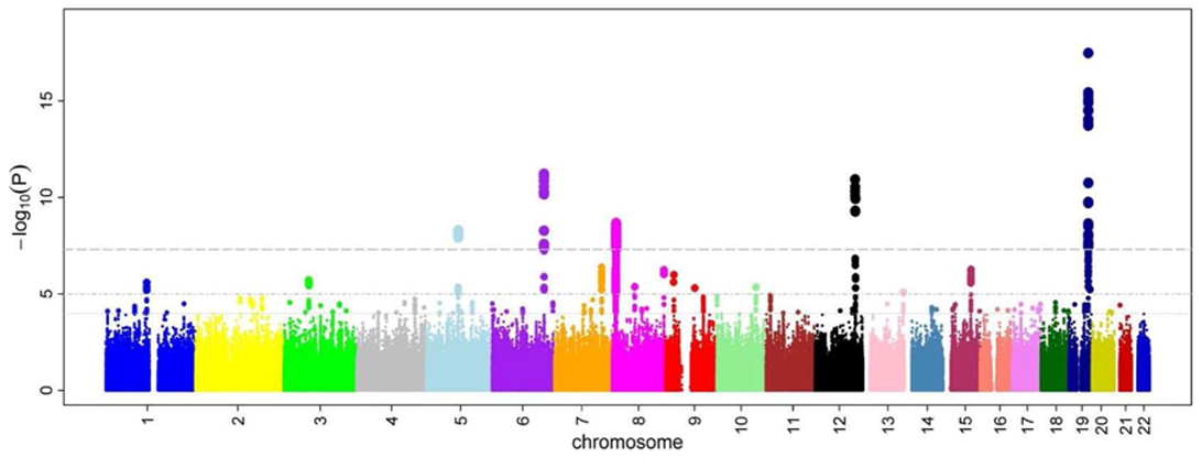 A Manhattan plot from Wikipedia, on the x-axis is chromosome position, and on the y is negative log10 pvalue. Points represents associations between allelic variation at each marker, with a trait of interest. Here there are 22 chromosomes and regions of interest on chr 6, 8, 12 and 19