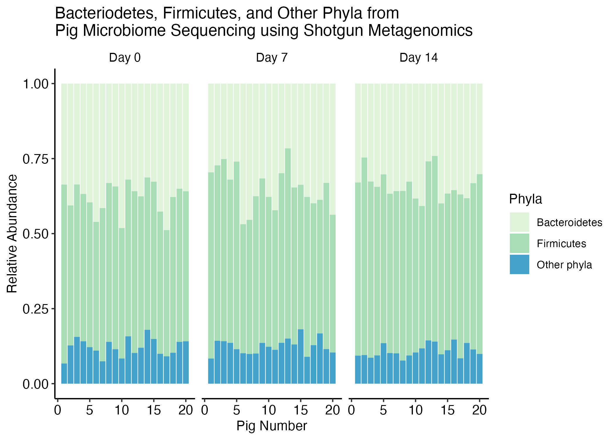 Bacteroidetes and Firmicutes abundance in pigs